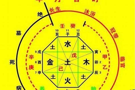 八字五行姓名|免費生辰八字五行屬性查詢、算命、分析命盤喜用神、喜忌